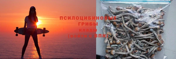винт Баксан