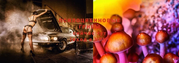 винт Баксан